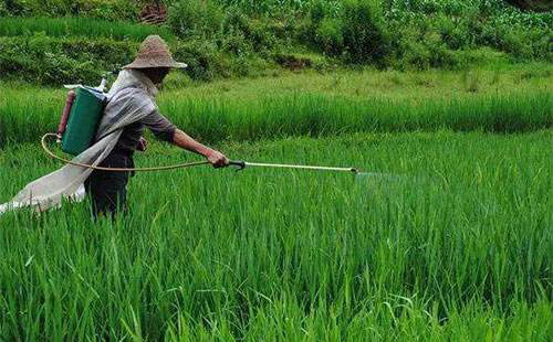 農(nóng)藥應用場景展示圖